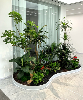 镇海绿植租赁商家-宁波绿植租摆活动-慈溪公司绿植出租-北仑花卉租赁效果